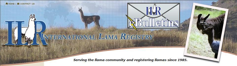 ILR Logo